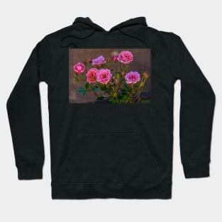 Pink Miniature Roses Hoodie